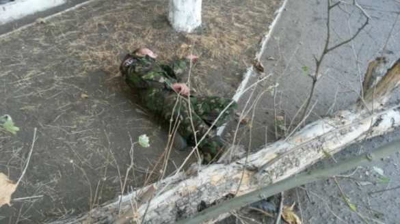 Небоевые потери: на боевика «Правого сектора» в центре Николаева упало сухое дерево (ФОТО) | Русская весна