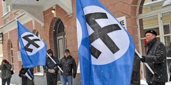 «Правый сектор» внедрился в Эстонию | Русская весна