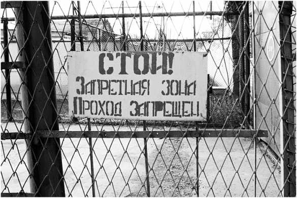 В Ивановской области юношу осудили за попытку вступить в «Правый сектор» | Русская весна