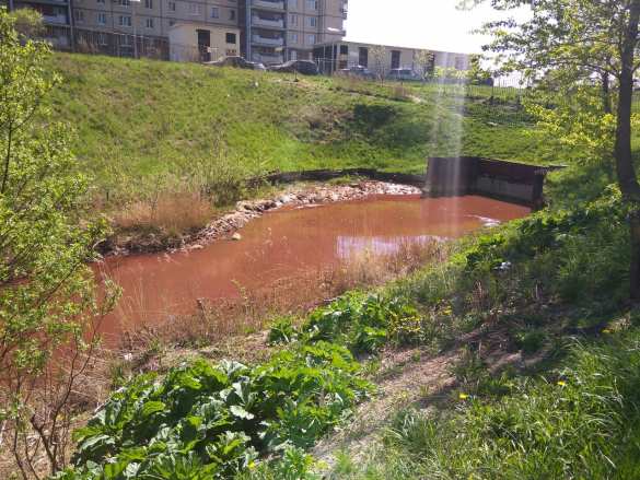 Приток Невы в Петербурге стал кроваво-красным (ФОТО, ВИДЕО) | Русская весна