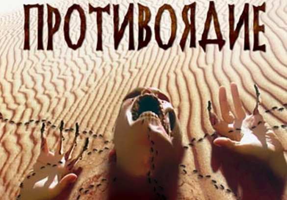 Учёные нашли противоядие от укуса одного из самых ядовитых существ в мире (ФОТО) | Русская весна