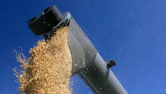 Россия может стать крупнейшим экспортером пшеницы в мире, — Wall Street Journal | Русская весна