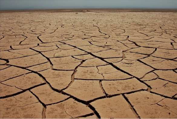 Депопуляция Украины приобрела необратимые черты | Русская весна