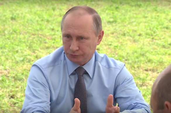 Путин рассказал, что можно производить из клюквы, кроме водки (ВИДЕО) | Русская весна