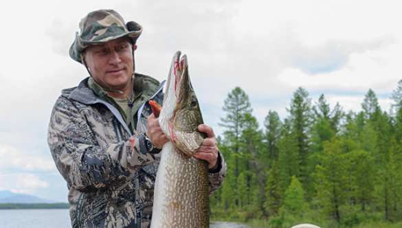 Путин отдохнул с Шойгу и Бортниковым на Енисее (ФОТО, ВИДЕО) | Русская весна