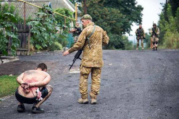 OSCE against "Aidar": internatonal mission discovers mutual facts of violence against civilians from the side of Kyev launched Fascist Battallions (video) | Русская весна