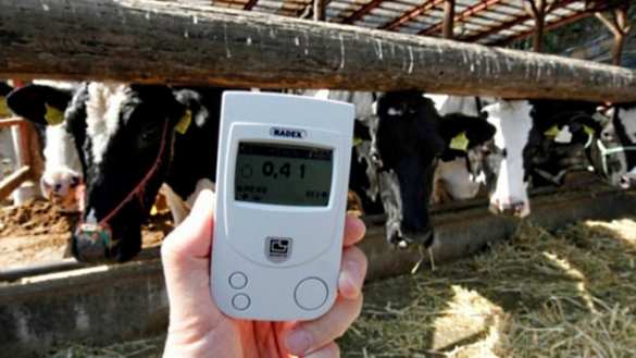 Украинские дети пьют радиоактивное молоко, — западные учёные | Русская весна