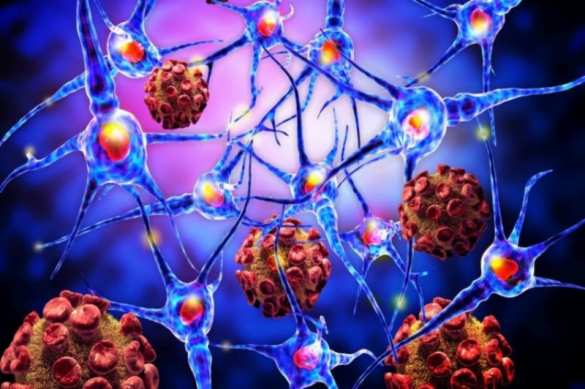 Российские ученые создали «наногранаты», убивающие рак  | Русская весна