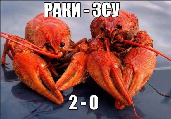 Раки — ВСУ 2:0 — украинского военного с трудом нашли водолазы | Русская весна