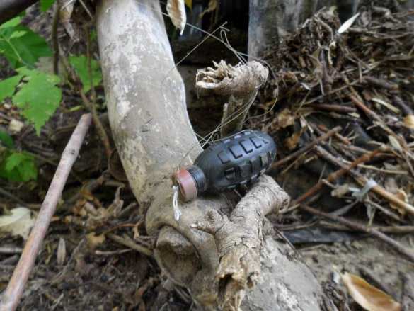 В Станице Луганской погиб пенсионер, подорвавшись на растяжке | Русская весна
