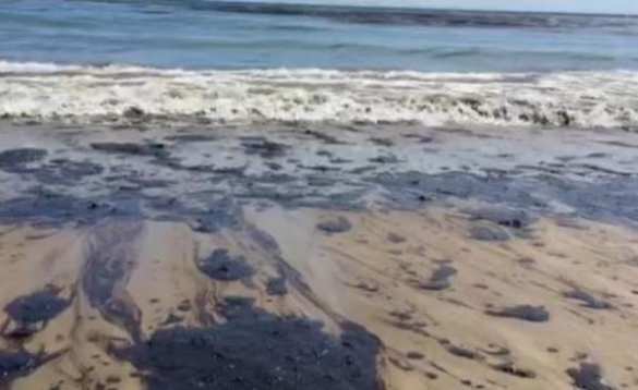 Пляжи Санта-Барбары залило нефтью (ФОТО, ВИДЕО) | Русская весна