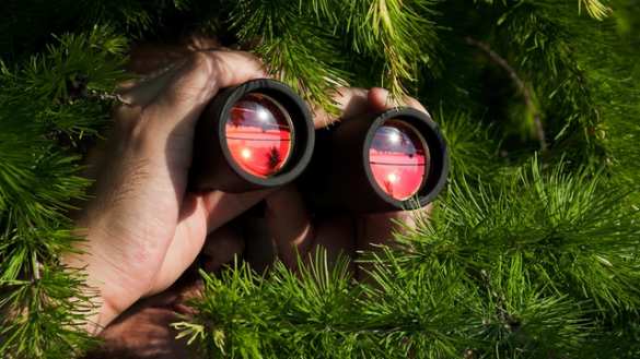 «Всё фотографируй и запоминай!» — власти «незалежной» призывают украинских туристов шпионить в Крыму (ФОТО) | Русская весна