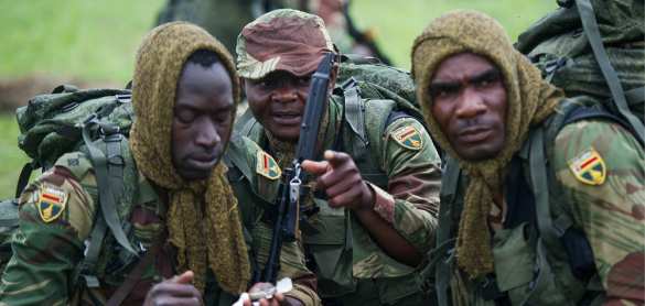 Разведчики из Зимбабве потерялись в сибирской тайге  | Русская весна