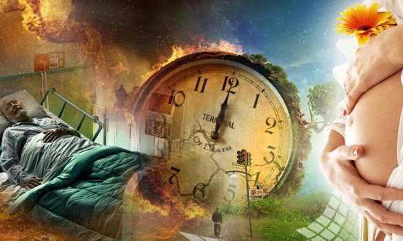 Российские ученые и Далай-лама хотят проверить теорию прошлых жизней (ФОТО) | Русская весна