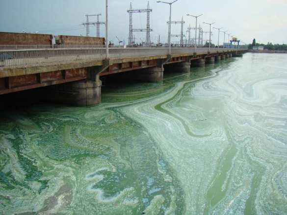 Рак и гепатит: экологи бьют в набат из-за катастрофы с Днепром (ФОТО) | Русская весна