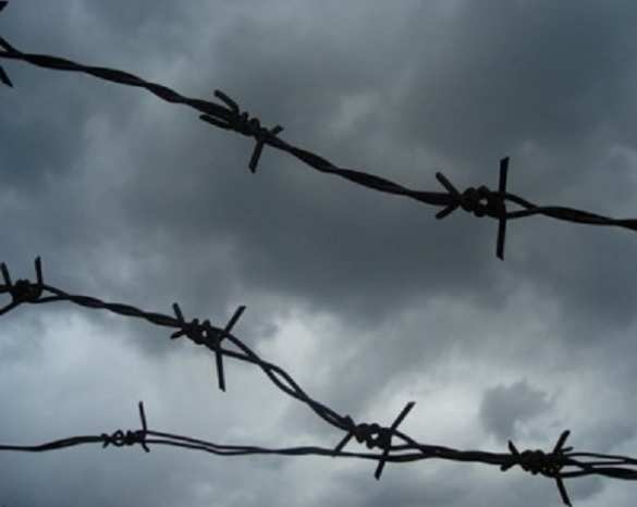 Киев не хочет проводить полную амнистию, предусмотренную «Минском» | Русская весна