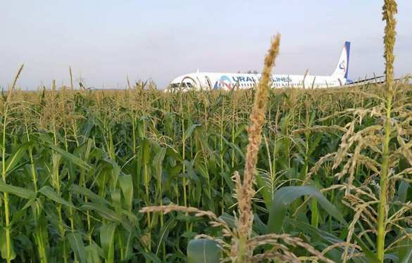 Экипаж севшего в поле борта отстранили от полётов | Русская весна