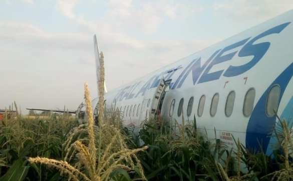 Чудесное спасение: «Аэробус» сел на поле с выключенным двигателем и убранными шасси — Росавиация | Русская весна