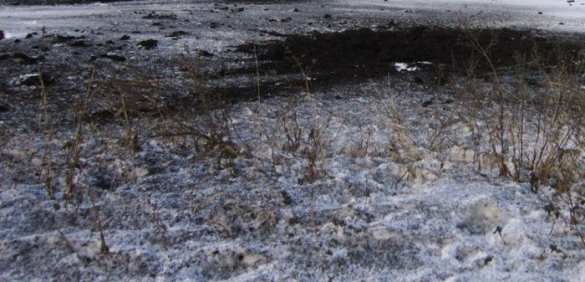 Российская гуманитарная колонна была обстреляна украинскими диверсантами, — пресс-центр ДНР | Русская весна