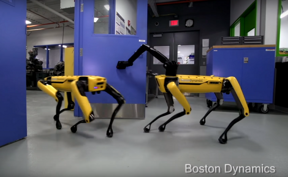 Робособака открыла дверь и ушла вместе с приятелем (ФОТО, ВИДЕО) | Русская весна