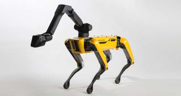 Будущее наступило: робопёс играет с овчаркой (ВИДЕО) | Русская весна