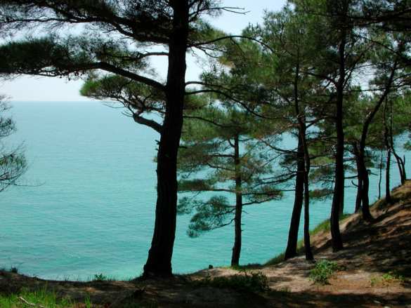 СМИ сообщили о рекомендациях МЧС и ФТС отдыхать только в России (ФОТО) | Русская весна