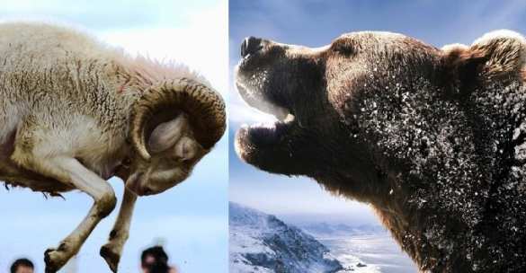 Польша уже потеряла из-за санкций $500 млн, но упрямо заявляет об их продолжении | Русская весна