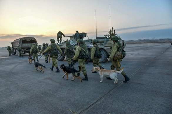 Aleppo: Russian servicemen, APCs and service dogs — impressive photos (VIDEO) | Русская весна