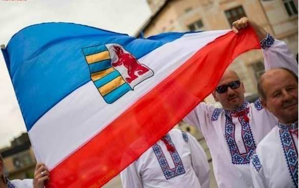 Депутаты Европарламента готовят на Закарпатье провокацию, — губернатор  | Русская весна