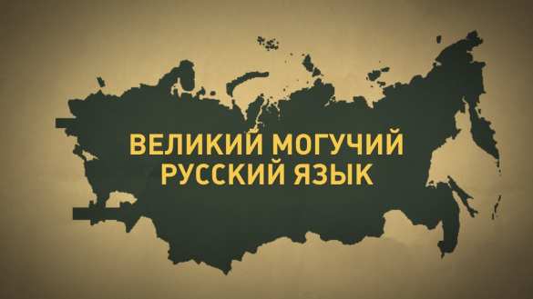 «Снова это западло», — русский язык напал на украинскую националистку | Русская весна