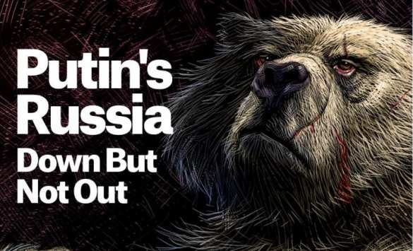 Foreign Affairs прорекламировал выпуск о России сомнительным роликом с водкой и медведем (ВИДЕО) | Русская весна