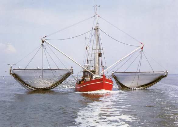 В Крыму задержали украинское судно | Русская весна