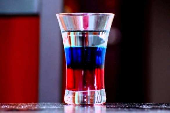 «И немедленно выпил»: глава посольства США подняла тост против России | Русская весна