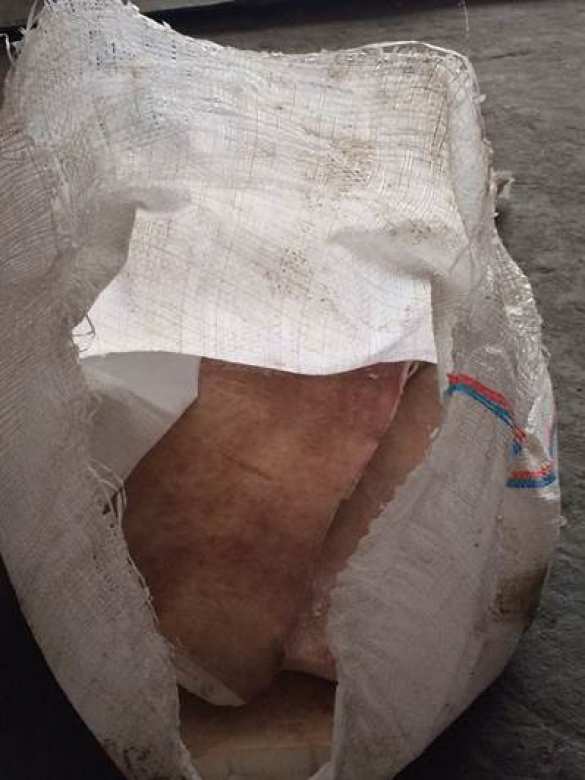 Перемога: СБУ не дала вывезти в Россию 20 тонн сала (ФОТО) | Русская весна