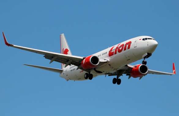 На борту рухнувшего Boeing 737 было 189 человек: найдены обломки самолёта и вещи (ФОТО, ВИДЕО) | Русская весна