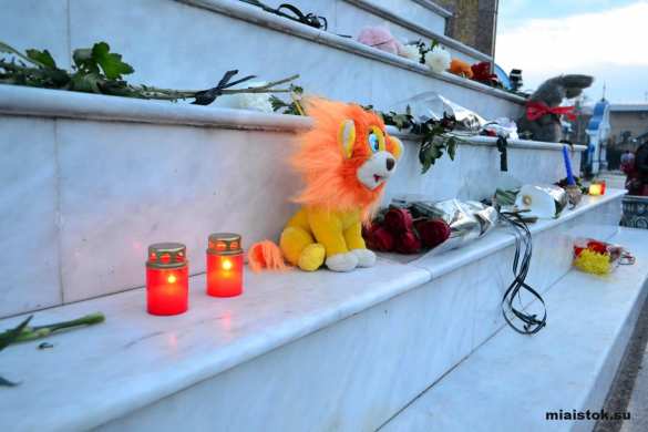 Луганчане почтили память жертв катастрофы российского авиалайнера в Египте | Русская весна