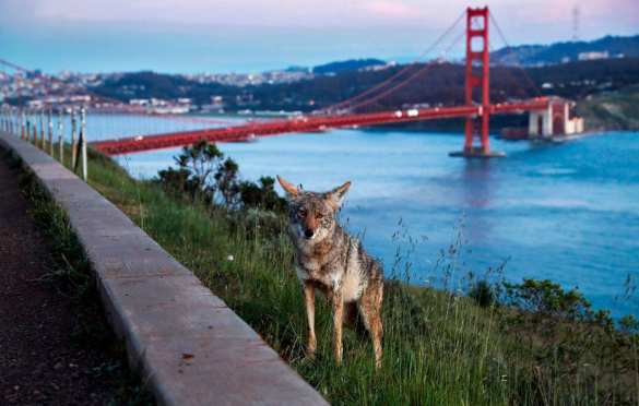 Франции предрекли катастрофу | Русская весна