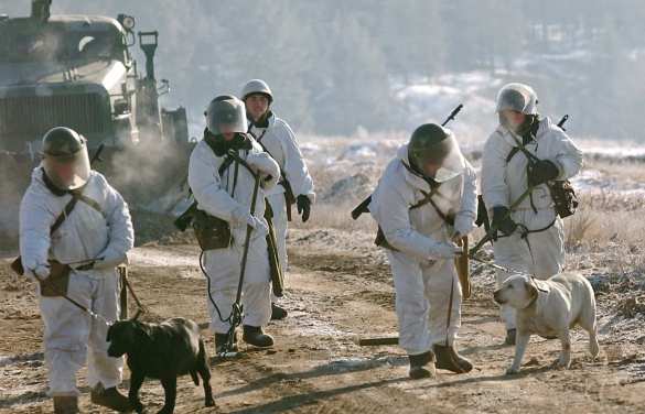 Вторая группа российских саперов направилась в Сирию для разминирования Пальмиры | Русская весна