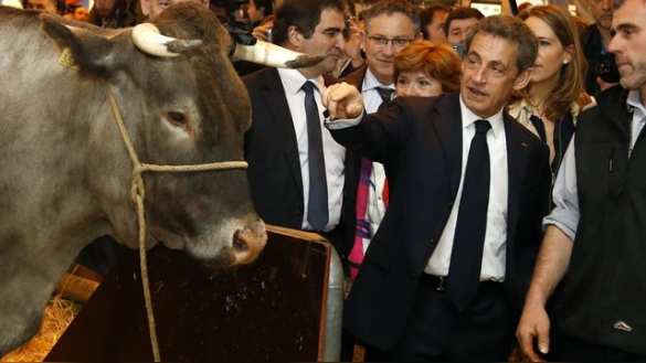 Франции необходимо сменить президента и снять санкции с России, — Саркози | Русская весна