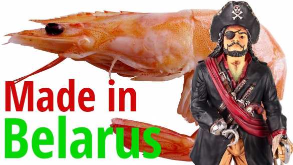 Безопасность под угрозой: Между Москвой и Минском встал нерешённый вопрос  | Русская весна