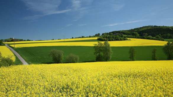 Сельское хозяйство Болгарии из-за российского эмбарго потеряло $167 миллионов  | Русская весна