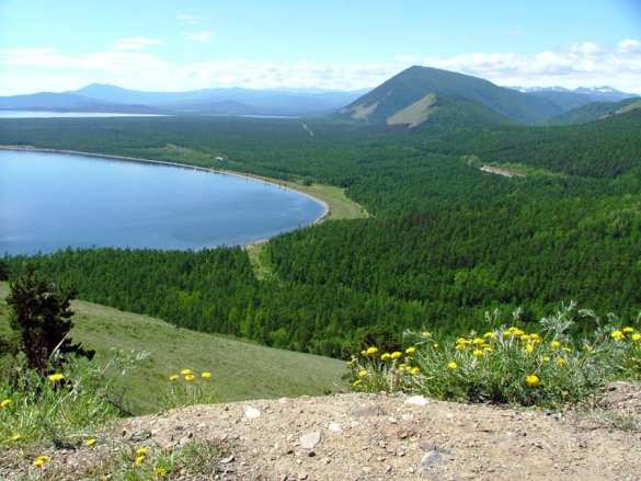 Странная массовая гибель: На берегу Байкала сотни мёртвых рыб и раков (ФОТО) | Русская весна