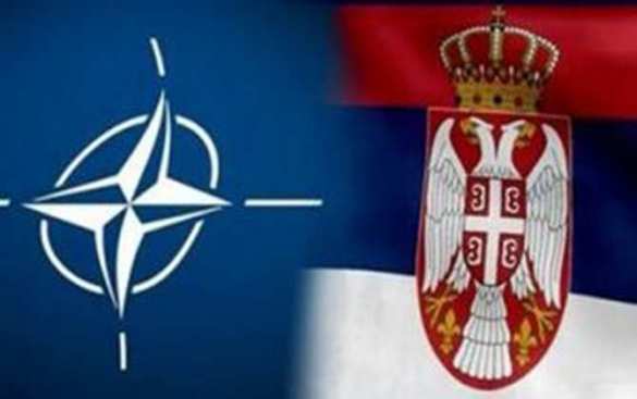 Something doesn't stack up: Serbia to hold military exercises with NATO | Русская весна