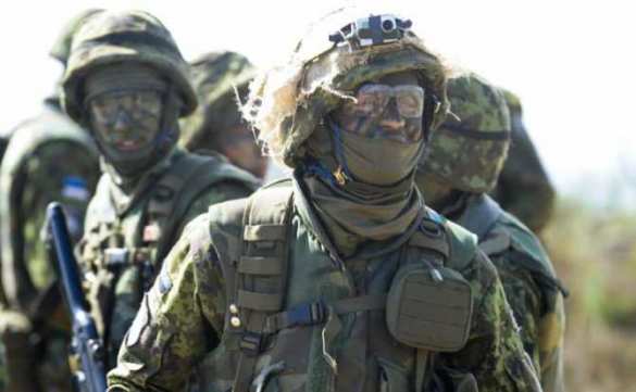 Прекращение огня на Украине резко увеличит угрозу для стран Балтии, — министры обороны Эстонии и Литвы | Русская весна