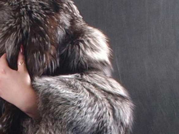 В Киеве избили тележурналистку из-за дорогой шубы (ФОТО) | Русская весна