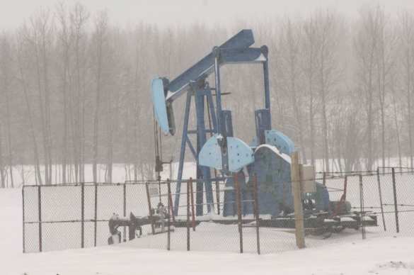 Спекулянты могут обвалить цены на нефть до $15, — Bloomberg | Русская весна