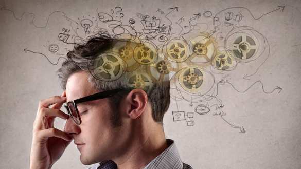 Человеческая память вмещает 1 млн Гб | Русская весна