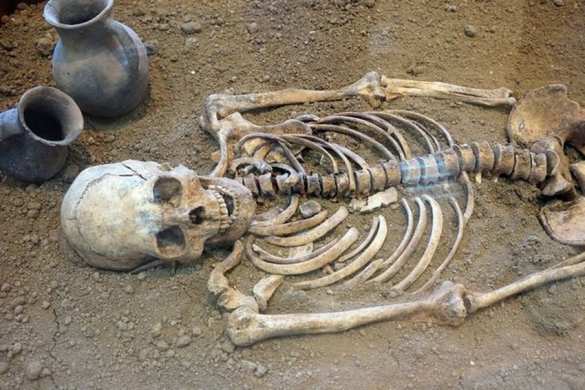 Донские и немецкие ученые разгадали тайну хирургов бронзового века | Русская весна