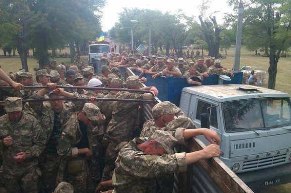 Мобилизованных военнослужащих ВСУ перевозят как скот (ФОТОФАКТ) | Русская весна