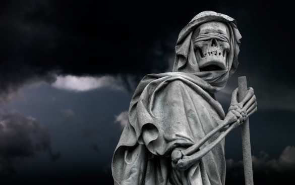 Учёные обнаружили гены, работающие после смерти | Русская весна